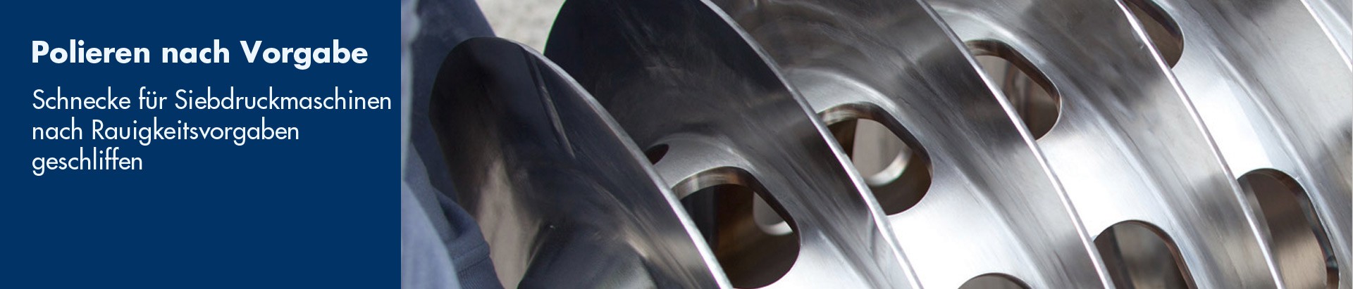 Eine polierte Schnecke schnecke